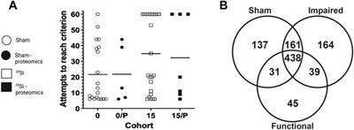 Quantitative proteomic analytic approaches to identify metabolic changes in the medial prefrontal cortex of rats exposed to space radiation